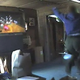 Image for article titled Cops Play Wii During Undercover Drug Raid